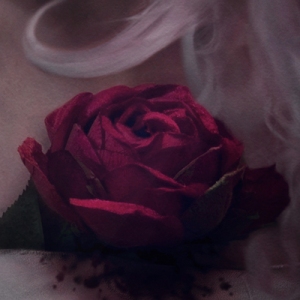 A red, bleeding rose over my heart, touching on the pain and heartache the unicorn endured.